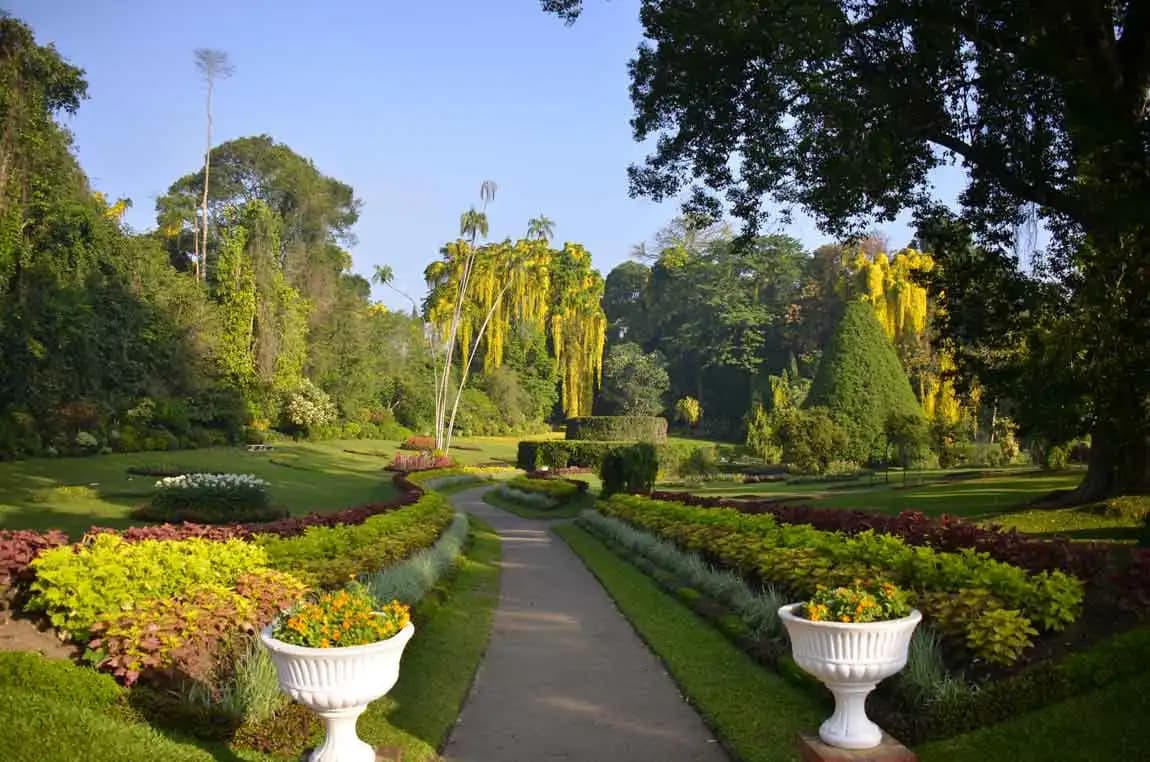 Peradeniya Botanical Gardens
